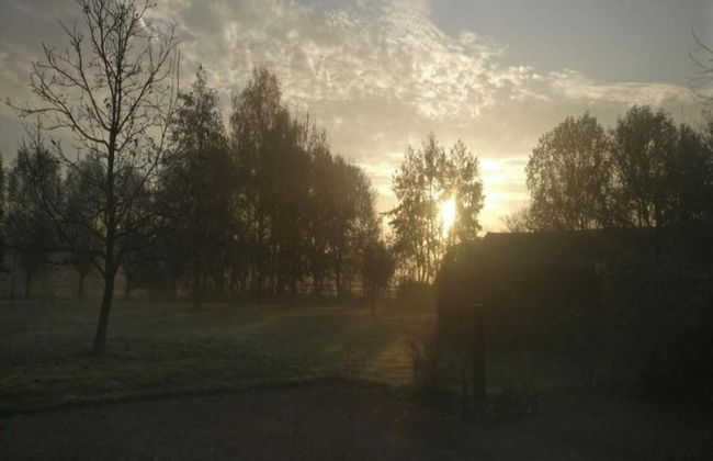 Villa in Someren Near Golf Course - Photo 40