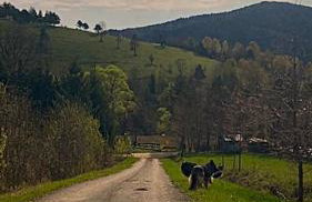 Chyża Chata na Krańcu Świata - Foto 55