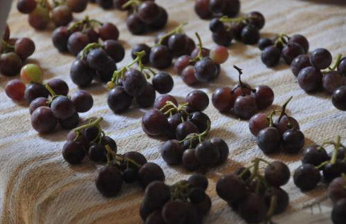 Agriturismo La Ripolina - Foto 53