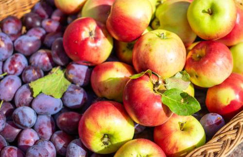 Ferienwohnung am Kunterbunthof - Foto 35