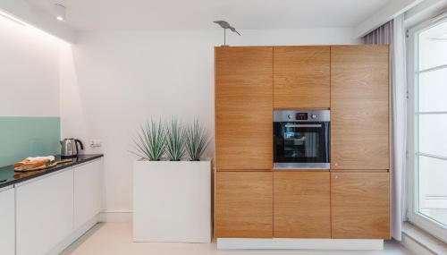 White Harmony apartament - 2 tarasy, BEZPŁATNY PARKING - Foto 4, stove