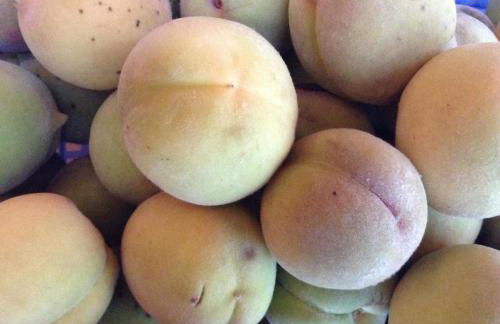 GITE CHOUCHOU - Photo 24