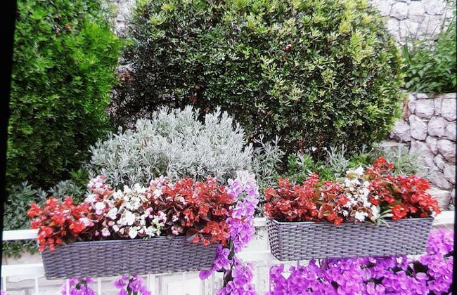 Apartments Maria Kolocep - Photo 28