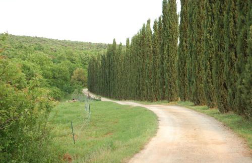 Agriturismo Novelleto - Foto 45