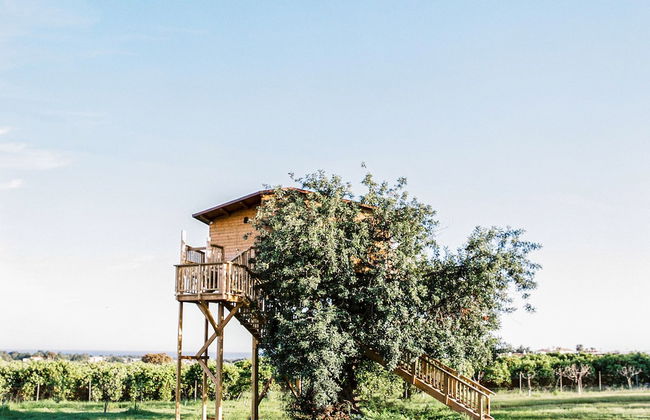 Conversas de Alpendre - Foto 8