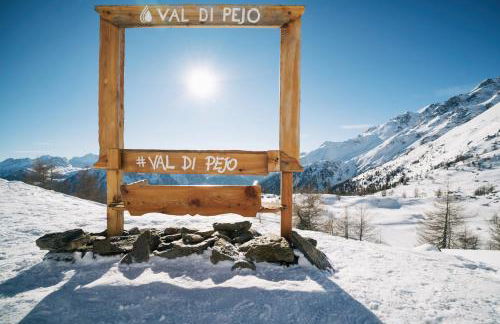 Val di Sole - Pejo1400 tylko 3 minuty od wyciągu - Foto 20