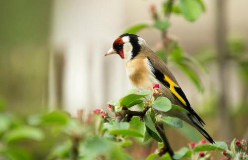 Room with a view - Photo 40