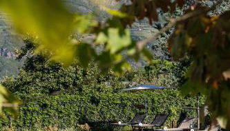 Apartments Villa Julia - Foto 2