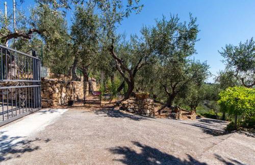 Le Navi In Cielo - Photo 27