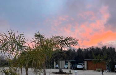 Masseria Causio - Foto 38