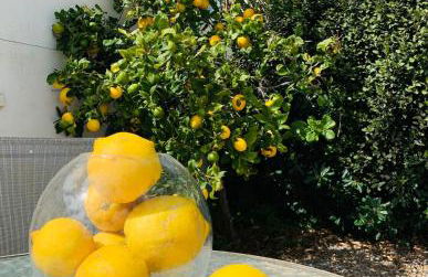 Villa Agua Turquesa - Foto 37