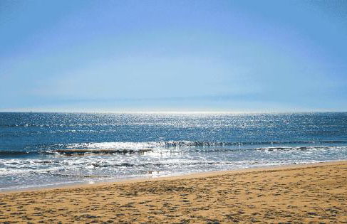 Estúdio-Gambelas - Foto 10