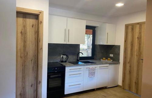 Apartamenty JENDRYCÓWKA - Foto 22