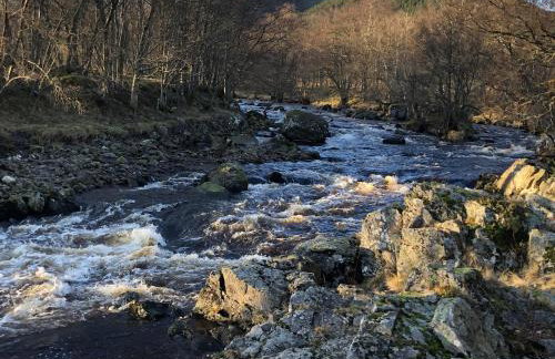 Woodside House - Foto 51