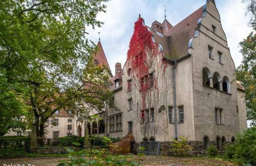 Całoroczny Domek Hampton Lubniewice, jezioro, jacuzzi - Foto 46