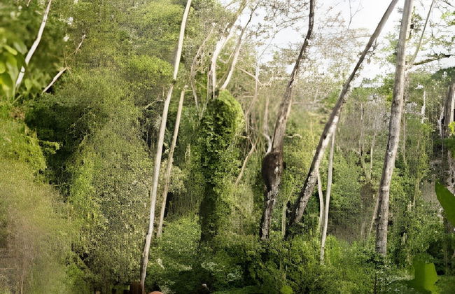 Balsa Nueva Lodge - Foto 13