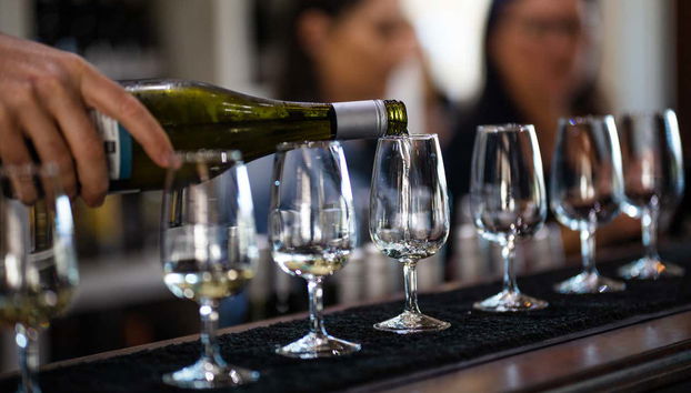 Pendant une des dégustations de vins