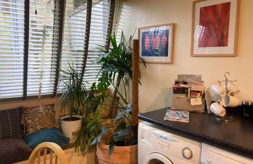 Courtyard Apartment - Photo 12