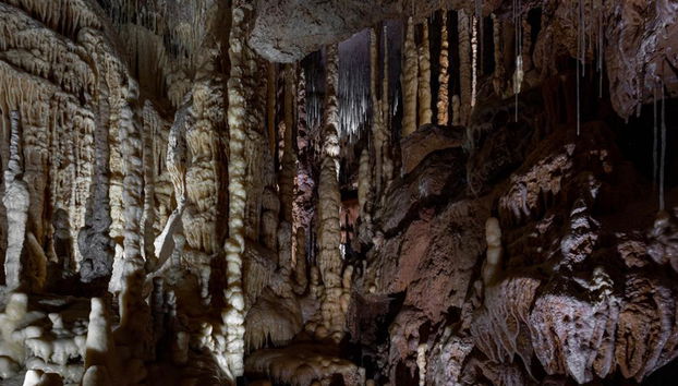 Natural Bridge Caverns Hidden Wonders Tour - Foto 4