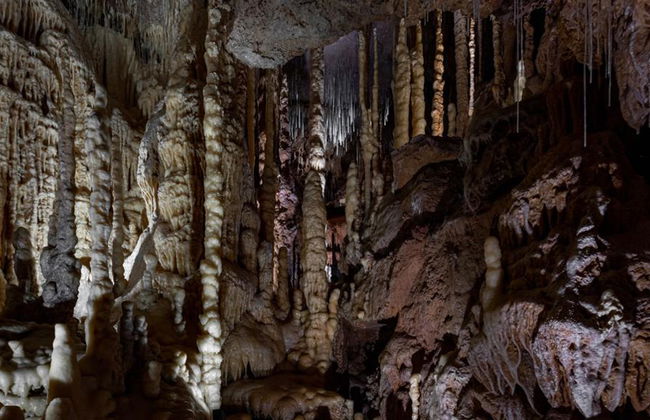 Natural Bridge Caverns Hidden Wonders Tour - Foto 4