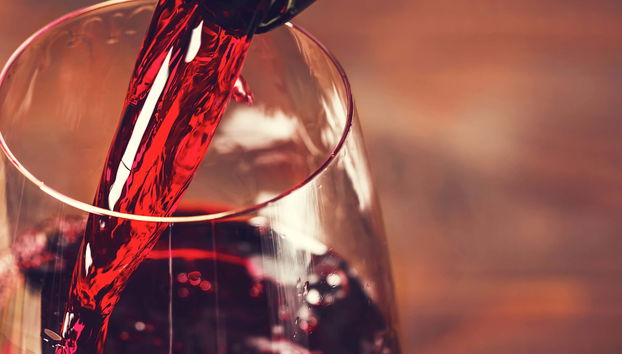 Visita a la bodega Casa das Talhas