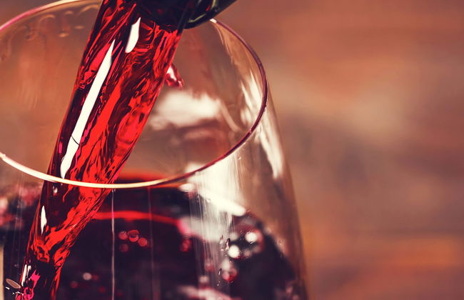 Casa das Talhas Winery Visit - Foto 4