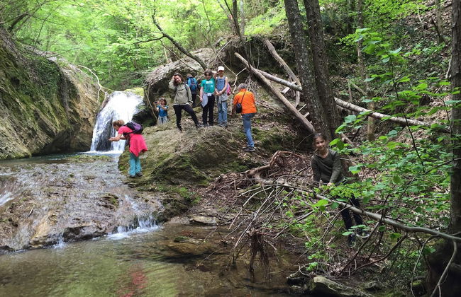 Lovely 4-bed House in Kosti - Foto 17