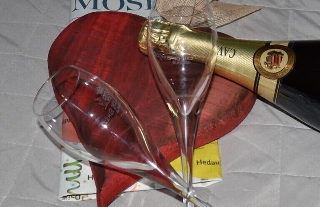 Ferienhaus Moselglück - Photo 45