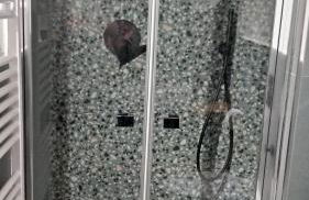 Kairos Montone - Foto 18