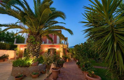 N A P L house - Foto 4