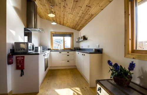 Fern Lodge - 2 Bedroom Log Cabin - Saint Florence - Tenby - Photo 38