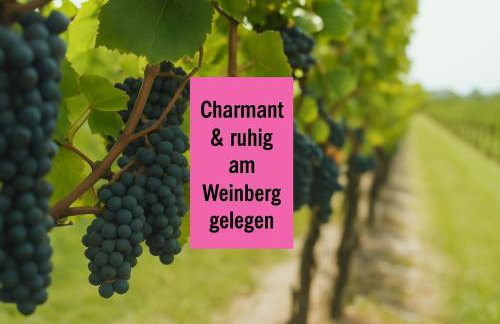 WINETIME - Apartment Roschbach - für bis zu 5 Personen - idyllisch an den Weinbergen der südlichen Weinstraße zwischen Landau und Neustadt gelegen - Photo 1