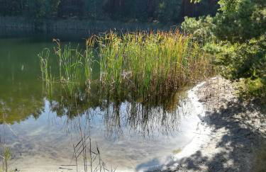 Spreewaldhäuser Golinski mit Kamin am Neuendorfer See - Foto 33