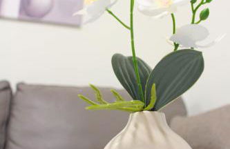 Suite Peretola Airport + Park - Foto 30