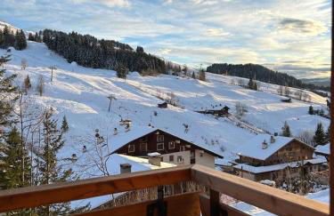NOUVEAU appartement neuf 4 à 6 personnes dans la station du Chinaillon, Grand-Bornand - Photo 19