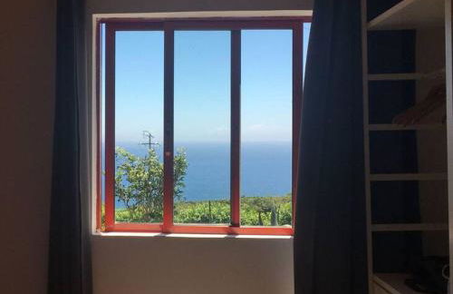 Sunflower Guest House - Madalena - Pico - Photo 17