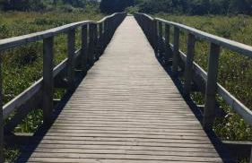 Casa para família no Rio Vermelho Piscina compartilhada - Foto 29