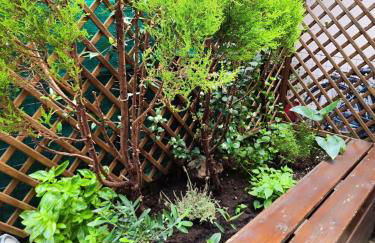 BG Airport Apartment Milhouse - Foto 20