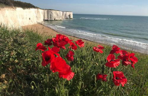 Broadstairs Beach Holiday Apartments, seafront stays opposite Kingsgate Bay with a parking space - Foto 19