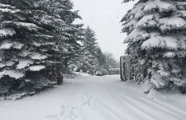 Chalet in Levinska Ole Near Giant Mountains - Foto 30