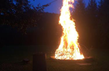 Bieszczadzka Sielanka - Foto 34