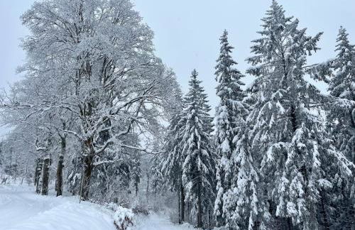 Apartment Carola by Interhome - Foto 24