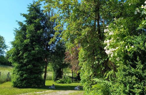 Dom z ogrodem na Mazurach - Foto 11