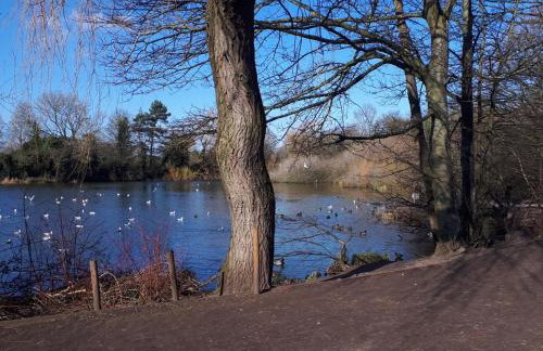 Semi Rural House - Stay 7 - Pet - Parking - Garden - Photo 22