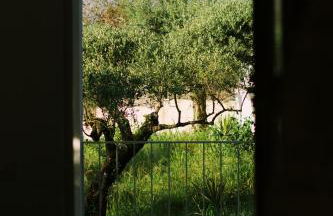 Casa Oliva - Casa da Serra - Foto 47