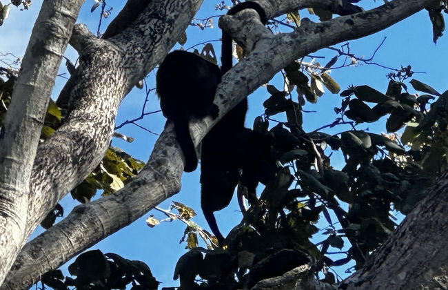 Peaceful Apartment in Tamarindo, 50m to the Beach - Photo 38