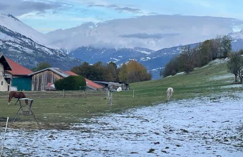 Appartement 5 personnes-1 chambre- Longefoy-Montalbert - La plagne - Foto 22
