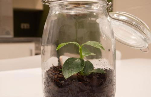 La Plaza-Colón, 1 habitación. - Foto 24