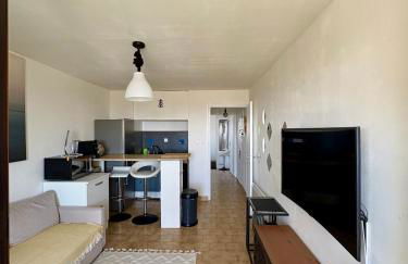 Appartement T2 vue exceptionnelle CARNON-PLAGE - Foto 3