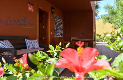 Tamarindo Blumarine - pool & wifi free 4 persons - Photo 32